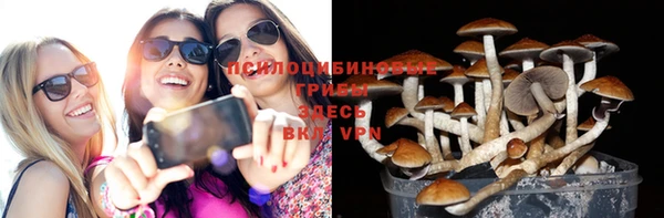 MESCALINE Алзамай
